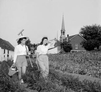 Gardening: It’s Not All Unceasing Drudgery Image